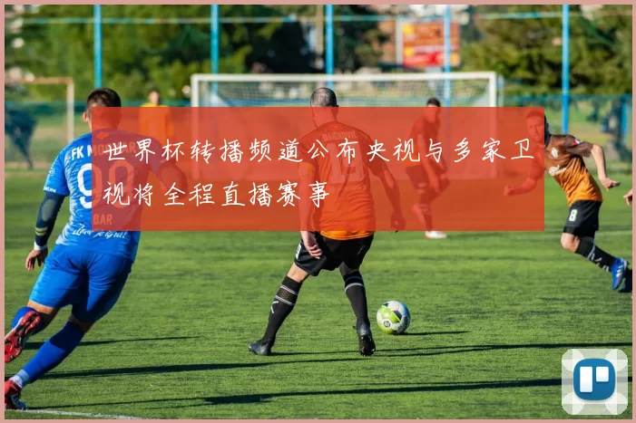 世界杯转播频道公布央视与多家卫视将全程直播赛事