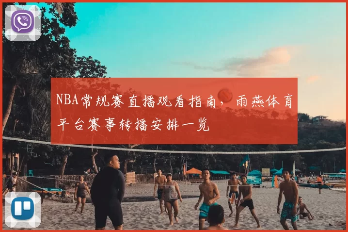 NBA常规赛直播观看指南,雨燕体育平台赛事转播安排一览