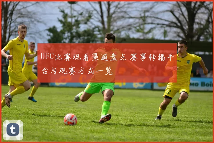 UFC比赛观看渠道盘点 赛事转播平台与观赛方式一览