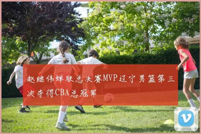 赵继伟蝉联总决赛MVP辽宁男篮第三次夺得CBA总冠军