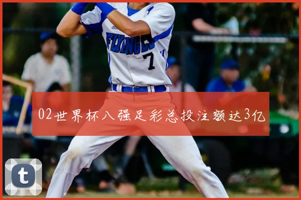 02世界杯八强足彩总投注额达3亿