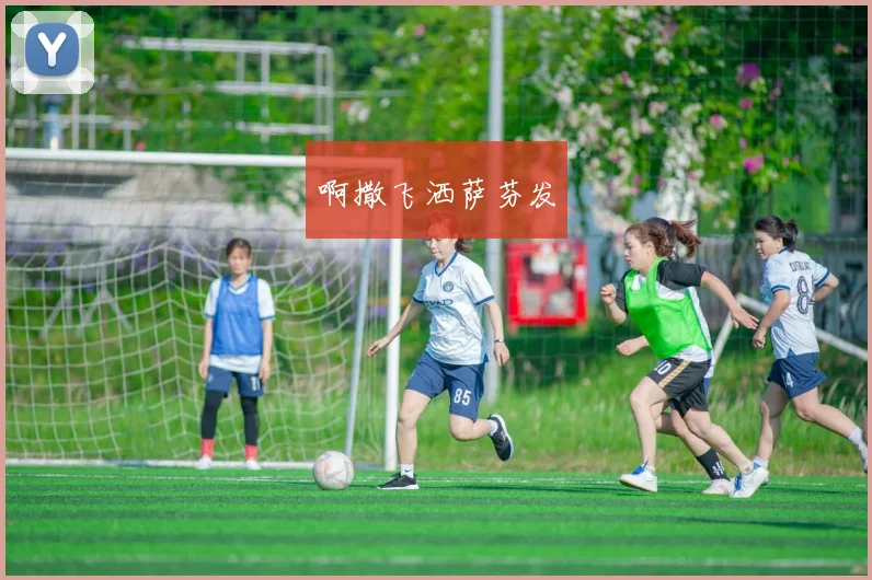 Telstar 18 vs 历届世界杯用球：科技与经典的进化之旅